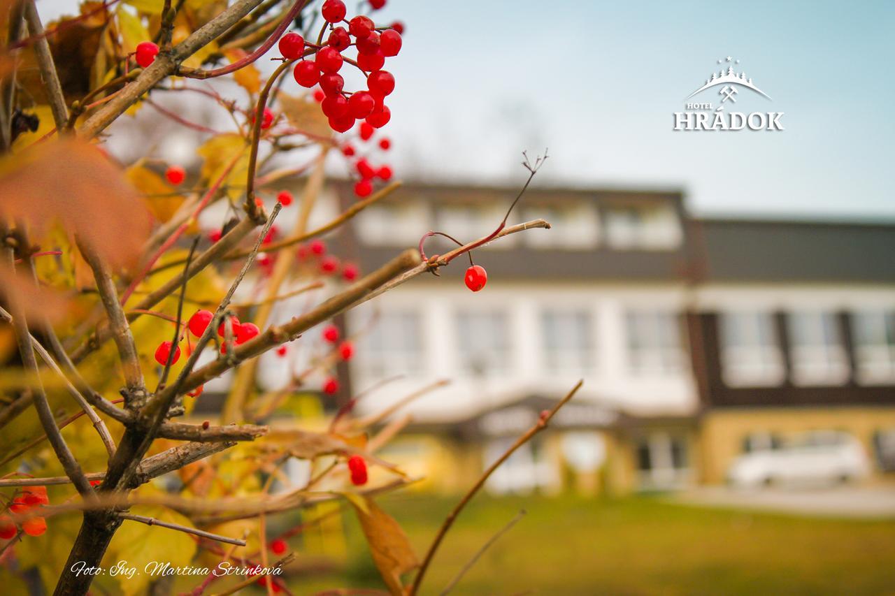 Hotel Hradok Jelsava Екстер'єр фото